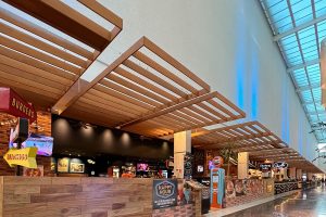 Mustang Sally Shopping Palladium 02-min